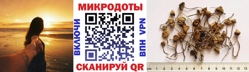 МЕГА рабочий сайт Пучеж Псилоцибиновые грибы Psilocybine cubensis
